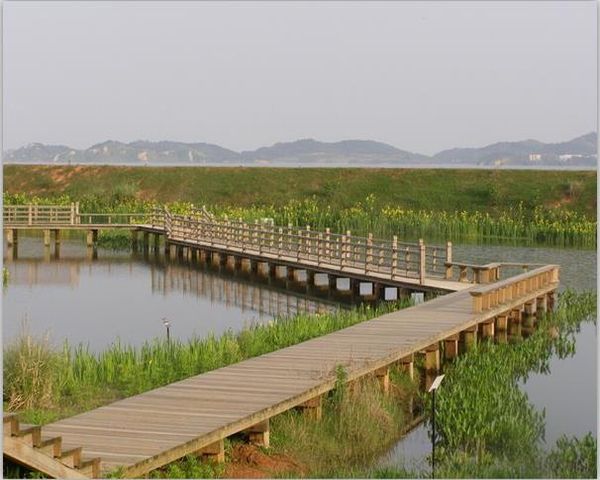 兰州新区湿地公园木栈道施工